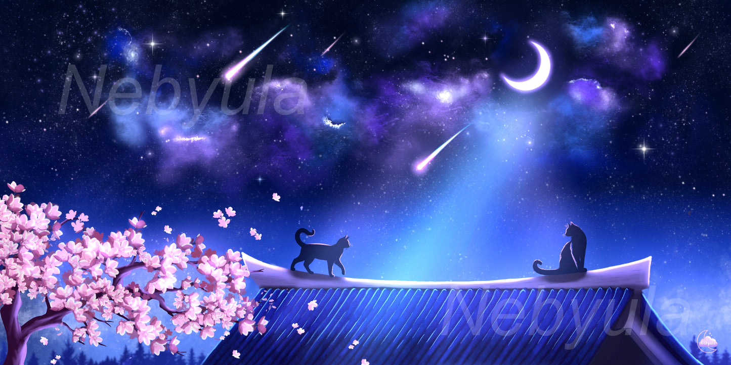 Tapis de souris XL Balade nocturne - Art digital